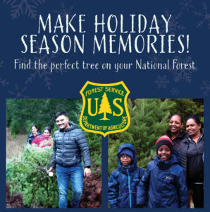 Olympic National Forest Christmas Tree Permit