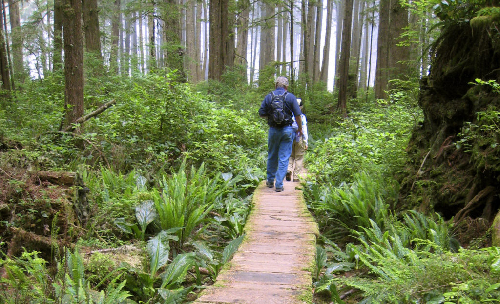 Ozette Trail, photo care of OlympicPeninsula.org