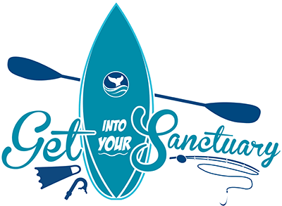 Get into YOUR Marine Sanctuary!